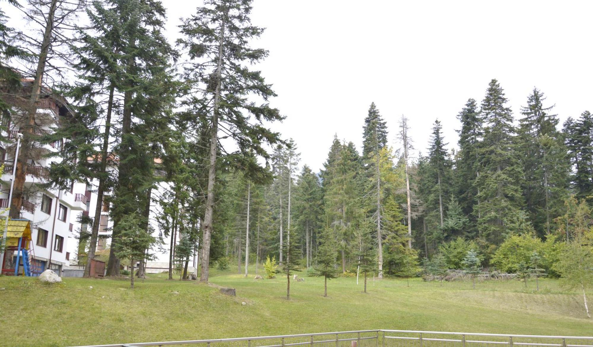 Persey Flora Apartments Borovets Eksteriør billede